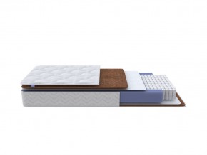 PROxSON Матрас Active F Roll (Ткань Трикотаж Эко) 180x200 в Нытве - nytva.mebel24.online | фото 1