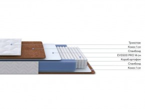 PROxSON Матрас Active F Roll (Ткань Трикотаж Эко) 180x200 в Нытве - nytva.mebel24.online | фото 2