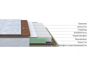 PROxSON Матрас Green Duo M/F (Tricotage Dream) 140x195 в Нытве - nytva.mebel24.online | фото 2