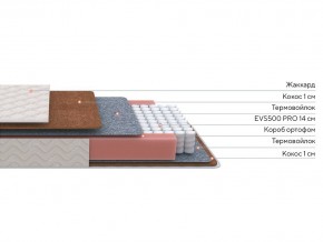 PROxSON Матрас Standart F Roll (Ткань Синтетический жаккард) 120x200 в Нытве - nytva.mebel24.online | фото 2