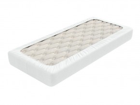 PROxSON Защитный чехол Aqua Save Light S (Ткань влагостойкая Tencel Jersey) 120x200 в Нытве - nytva.mebel24.online | фото 2