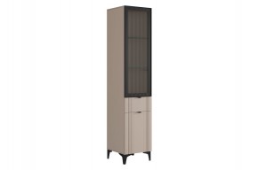 РИЧ Шкаф однодверный со стеклом в Нытве - nytva.mebel24.online | фото