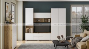 МИЛАН-1 Секция ТВ (ЦРК.МЛН.01 секция ТВ) в Нытве - nytva.mebel24.online | фото 3