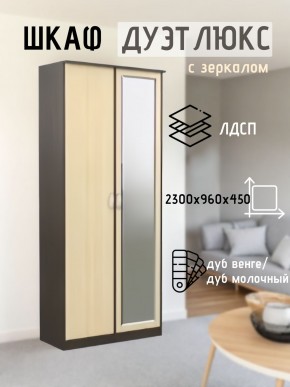 Шкаф 2-х створчатый Дуэт Люкс с зеркалом в Нытве - nytva.mebel24.online | фото