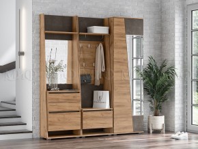 СОРЕНТО Шкаф 2-х створчатый в Нытве - nytva.mebel24.online | фото 3