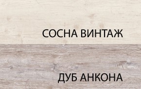 Шкаф 2DG2S, MONAKO, цвет Сосна винтаж/дуб анкона в Нытве - nytva.mebel24.online | фото