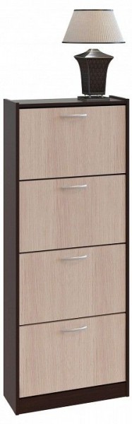 Шкаф для обуви ТО-24 в Нытве - nytva.mebel24.online | фото