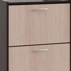 Шкаф для обуви ТО-24 в Нытве - nytva.mebel24.online | фото 4