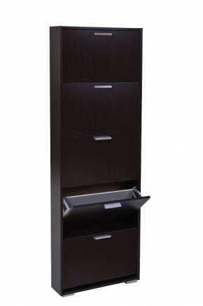 Шкаф для обуви УК-5 10000130 в Нытве - nytva.mebel24.online | фото