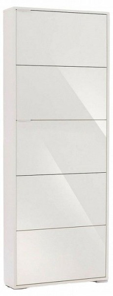 Шкаф для обуви Viva-5S в Нытве - nytva.mebel24.online | фото