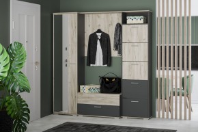 Шкаф для одежды НМ 013.40 "Санти" (Антрацит/Крафт Серый) в Нытве - nytva.mebel24.online | фото 3