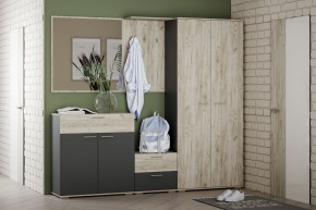Шкаф для одежды НМ 040.42 "Санти" (Антрацит/Крафт Серый) в Нытве - nytva.mebel24.online | фото 3