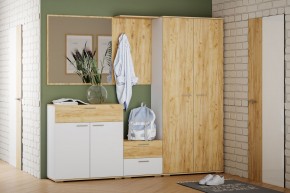 Шкаф для одежды НМ 040.42 "Санти" (Белый/Крафт Золотой) в Нытве - nytva.mebel24.online | фото 3