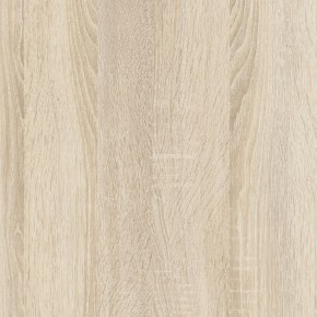Шкаф гардеробный 900 с ящиками Салоу в Нытве - nytva.mebel24.online | фото 4