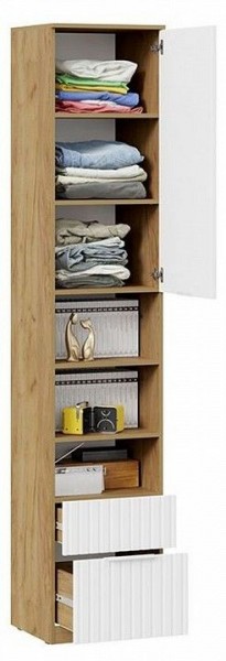 Шкаф комбинированный Хилтон Исп. 2 в Нытве - nytva.mebel24.online | фото 5