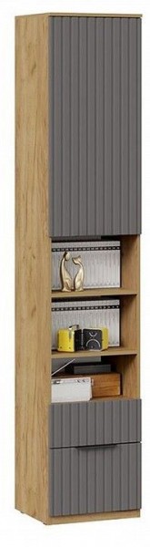 Шкаф комбинированный Хилтон Исп. 2 в Нытве - nytva.mebel24.online | фото 4