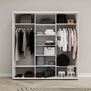 Шкаф-купе Акцент-Квадро Д 2400-600 в Нытве - nytva.mebel24.online | фото 2