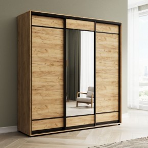 Шкаф-купе Акцент-Лайт ДЗ 2100-600 в Нытве - nytva.mebel24.online | фото 4