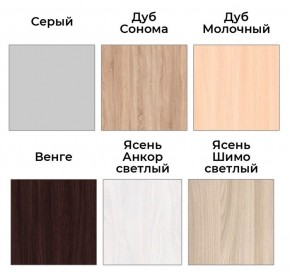 Шкаф-купе ХИТ 22-17-15 (620) в Нытве - nytva.mebel24.online | фото 3