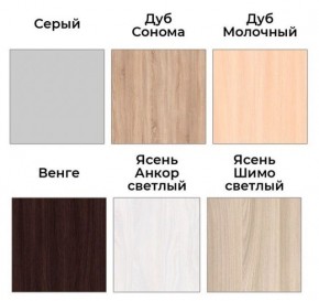 Шкаф-купе ХИТ 22-18-888 (620) в Нытве - nytva.mebel24.online | фото 3