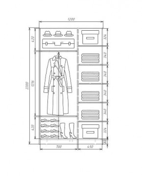 Шкаф-купе ХИТ 22-4-12-66 (420) в Нытве - nytva.mebel24.online | фото 5
