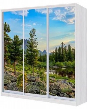 Шкаф-купе ХИТ 22-4-20-777 ПРИРОДА в Нытве - nytva.mebel24.online | фото