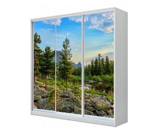 Шкаф-купе ХИТ 23-18-777 (620) в Нытве - nytva.mebel24.online | фото
