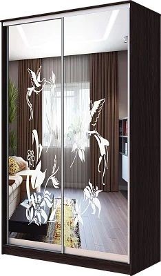 Шкаф-купе ХИТ 23-4-12/2-66 КОЛИБРИ в Нытве - nytva.mebel24.online | фото