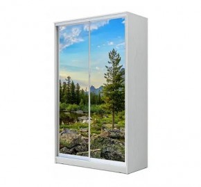 Шкаф-купе ХИТ 24-12/2-77 (620) в Нытве - nytva.mebel24.online | фото