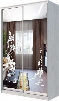 Шкаф-купе ХИТ 24-14-66 ЦАПЛИ в Нытве - nytva.mebel24.online | фото