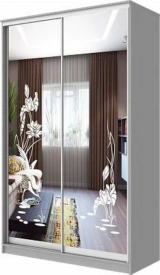 Шкаф-купе ХИТ 24-15-66 ЦАПЛИ в Нытве - nytva.mebel24.online | фото