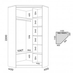 Шкаф-купе ХИТ-У-22-4-55 в Нытве - nytva.mebel24.online | фото 2