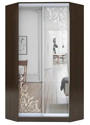 Шкаф-купе ХИТ-У-22-4-66 ОРНАМЕНТ в Нытве - nytva.mebel24.online | фото