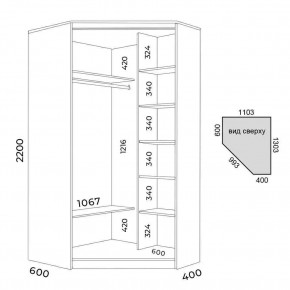 Шкаф-купе ХИТ-У-R-22-64-55 в Нытве - nytva.mebel24.online | фото 4