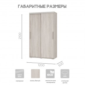 Шкаф-купе ШКК-11 (ясень белый) в Нытве - nytva.mebel24.online | фото 7