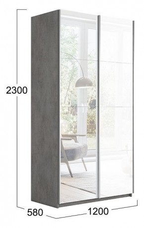 Шкаф-купе Траст СШК 2.120.60-13.15 в Нытве - nytva.mebel24.online | фото 3
