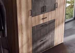 Шкаф Нельсон ШК-03 (Шкаф Дуб каньон/Железный камень) в Нытве - nytva.mebel24.online | фото 5