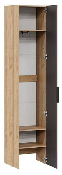 Шкаф платяной Асти в Нытве - nytva.mebel24.online | фото 2