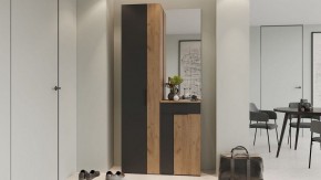 Шкаф платяной Асти в Нытве - nytva.mebel24.online | фото 5