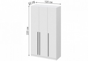 Шкаф платяной Бирма ШК-1200 в Нытве - nytva.mebel24.online | фото 4