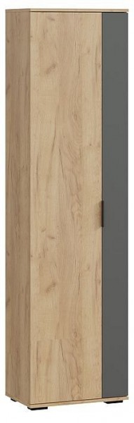 Шкаф платяной Эвита в Нытве - nytva.mebel24.online | фото