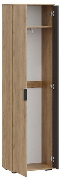 Шкаф платяной Эвита в Нытве - nytva.mebel24.online | фото 2