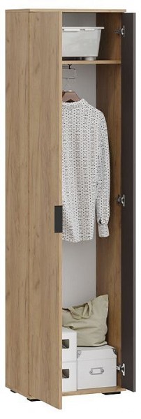 Шкаф платяной Эвита в Нытве - nytva.mebel24.online | фото 3