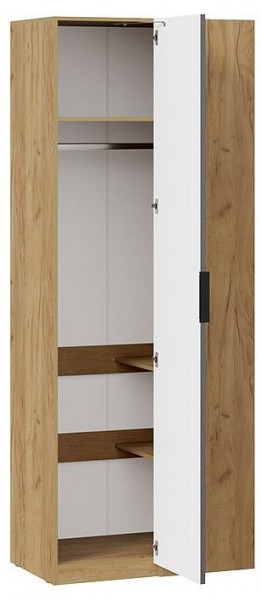Шкаф платяной Хилтон в Нытве - nytva.mebel24.online | фото 2