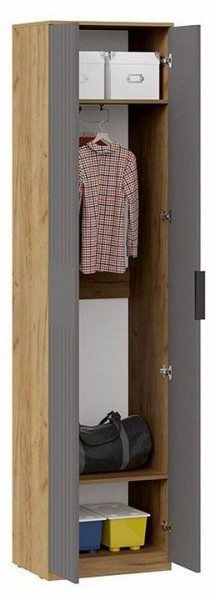 Шкаф платяной Хилтон Исп. 2 в Нытве - nytva.mebel24.online | фото 3