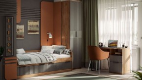 Шкаф платяной Хилтон Исп. 2 в Нытве - nytva.mebel24.online | фото 5