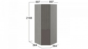 Шкаф платяной Либерти СМ-297.07.033 в Нытве - nytva.mebel24.online | фото 3