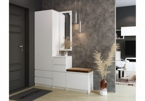 Шкаф платяной Мадера в Нытве - nytva.mebel24.online | фото 4