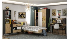Шкаф платяной Нобира в Нытве - nytva.mebel24.online | фото 2