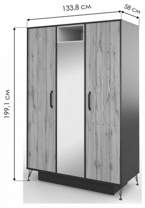 Шкаф платяной Нобира в Нытве - nytva.mebel24.online | фото 3